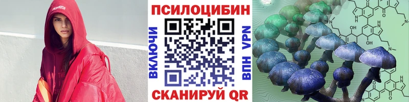 Галлюциногенные грибы Psilocybine cubensis  Вилючинск 